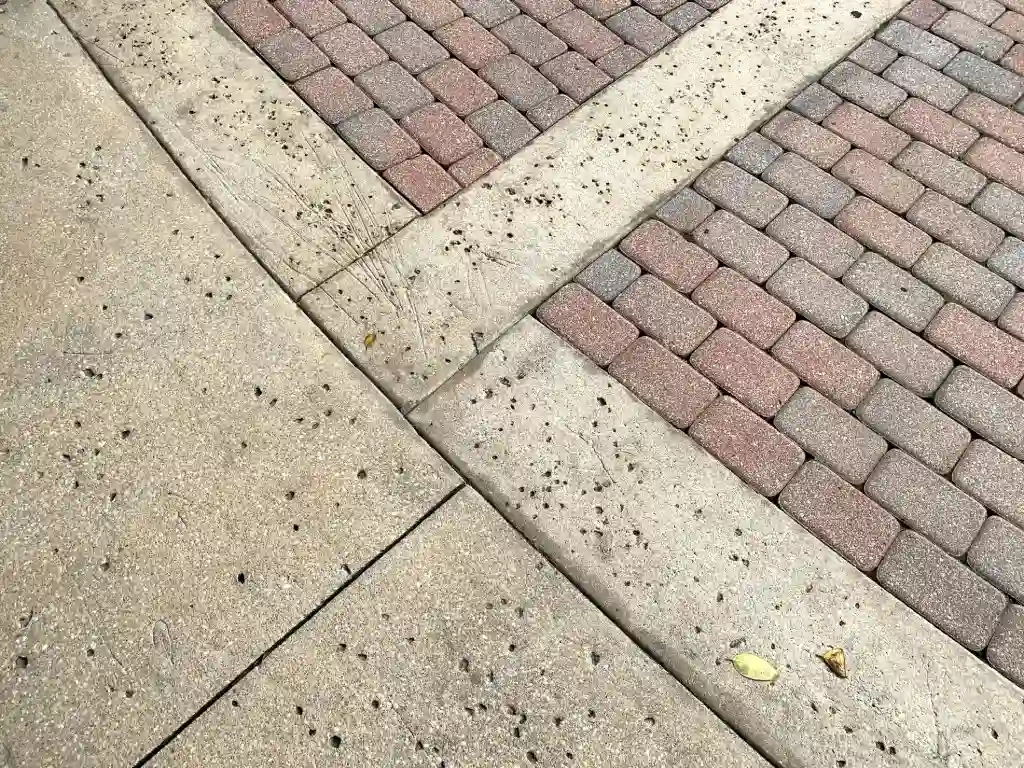 A Legacy Built in Stone