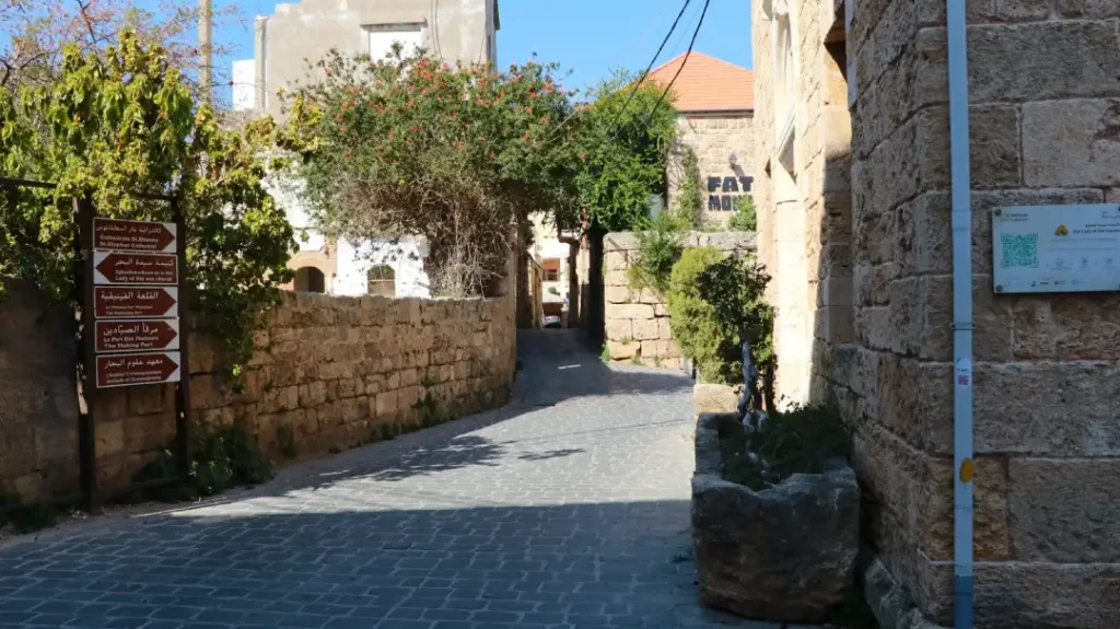 The Cobblestone Driveways